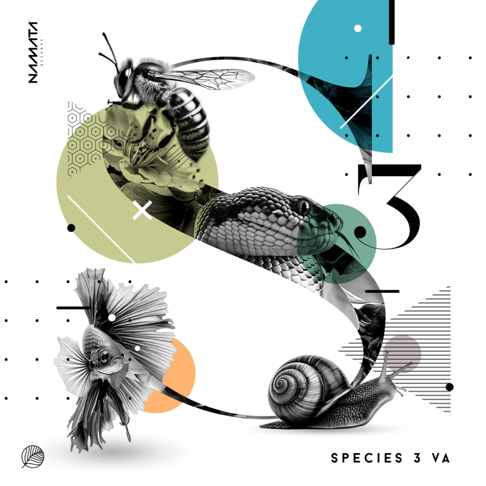 Species 3 1000x1000.jpg