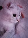 IMG_20210331_133044.jpg